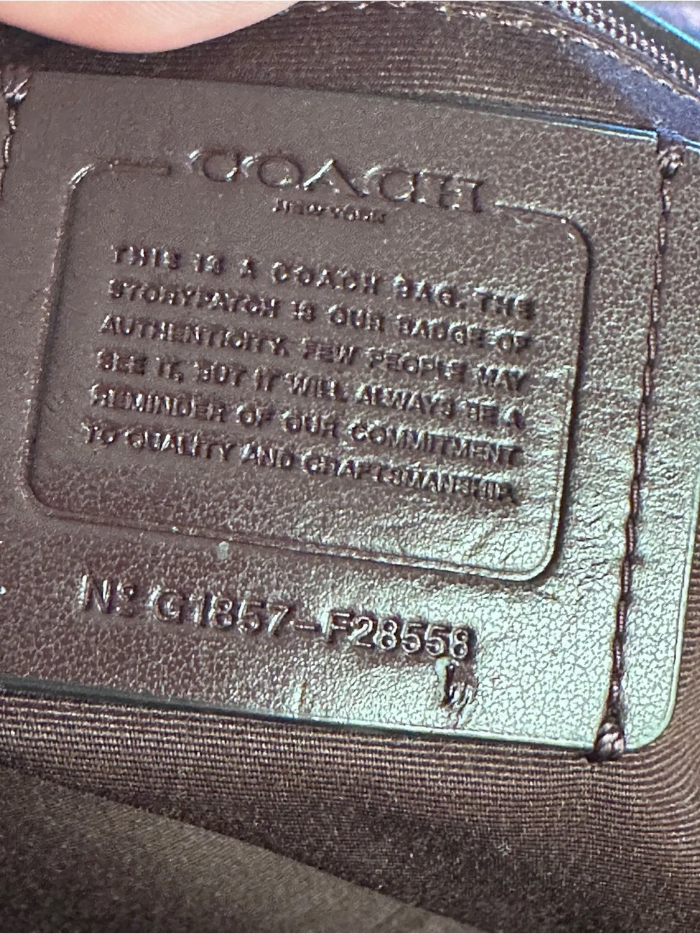 Coach Ava Tote in Signature Debossed Leather.